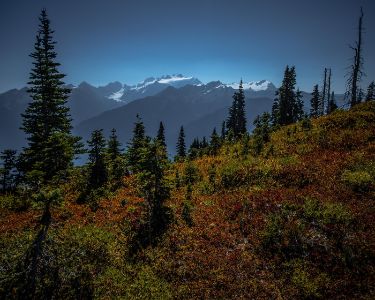 Olympus from the High Divide