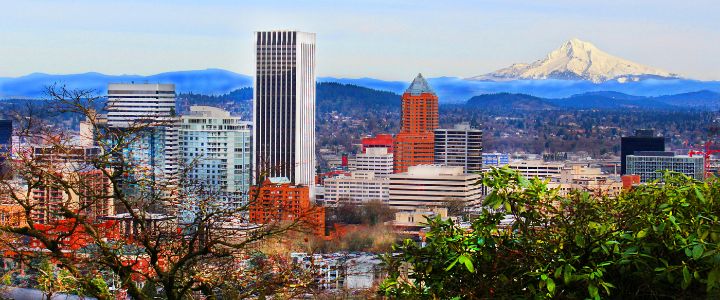 Washington Park Hood