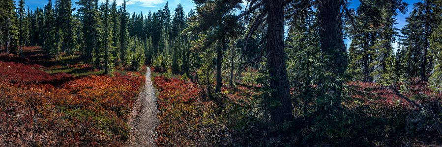 The PCT in Red and Green