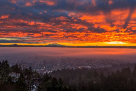 Portland Sunrise