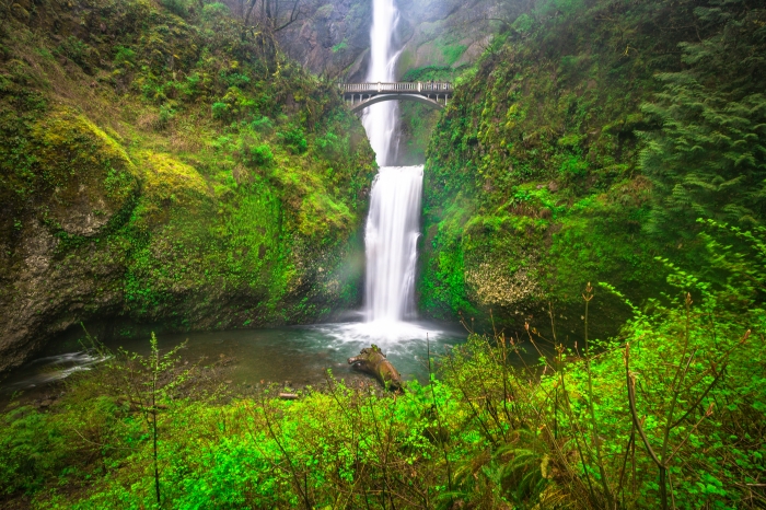 Multnomah Falls Close up