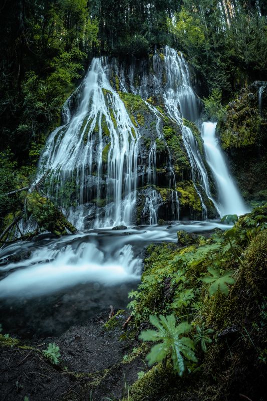Green Beneath the Falls