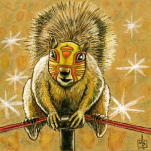 ms-b500_2015_squirrel