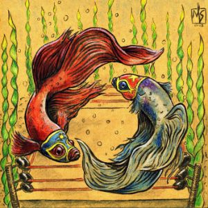 ms-b500_2015_betta-v2b