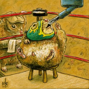 ms-b500_2015_hamster