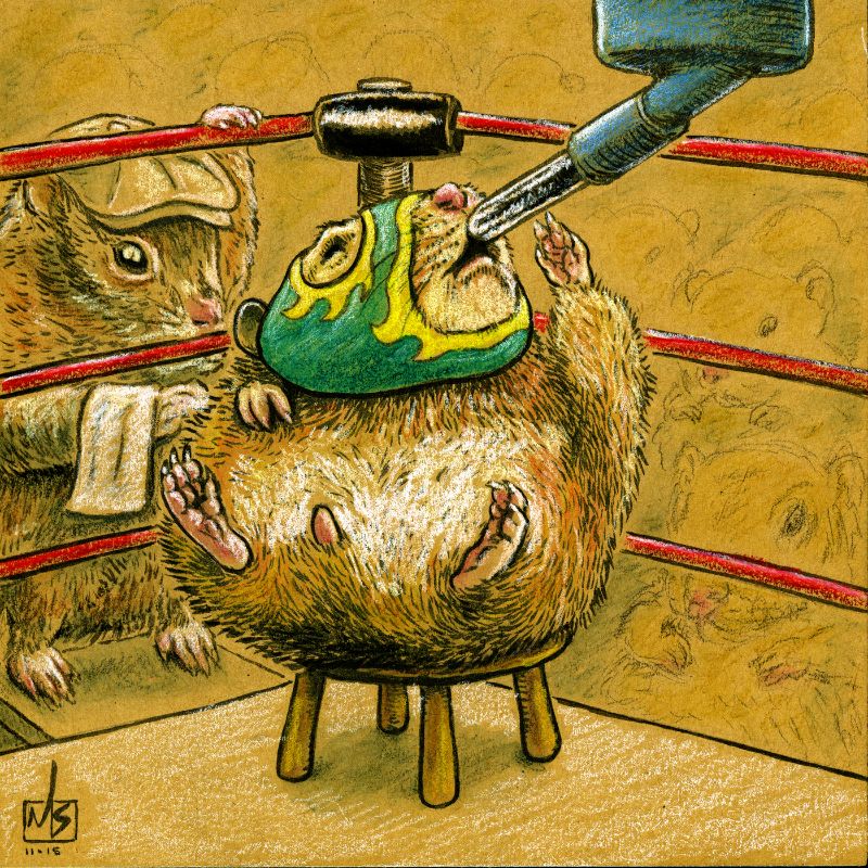 ms-b500_2015_hamster