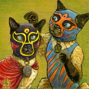 ms-b500_2015_siamese2