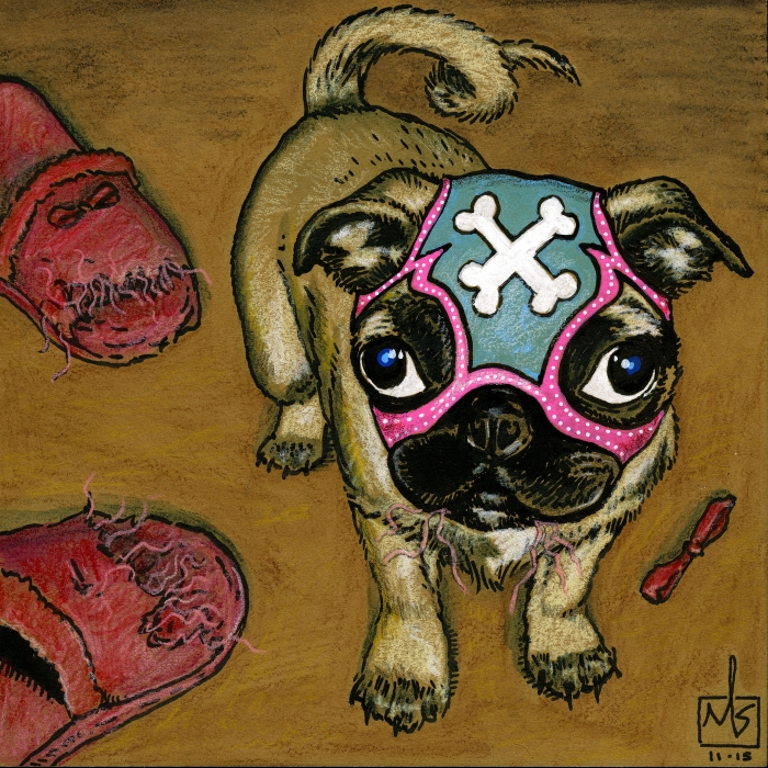 ms-b500_2015_pug-v2