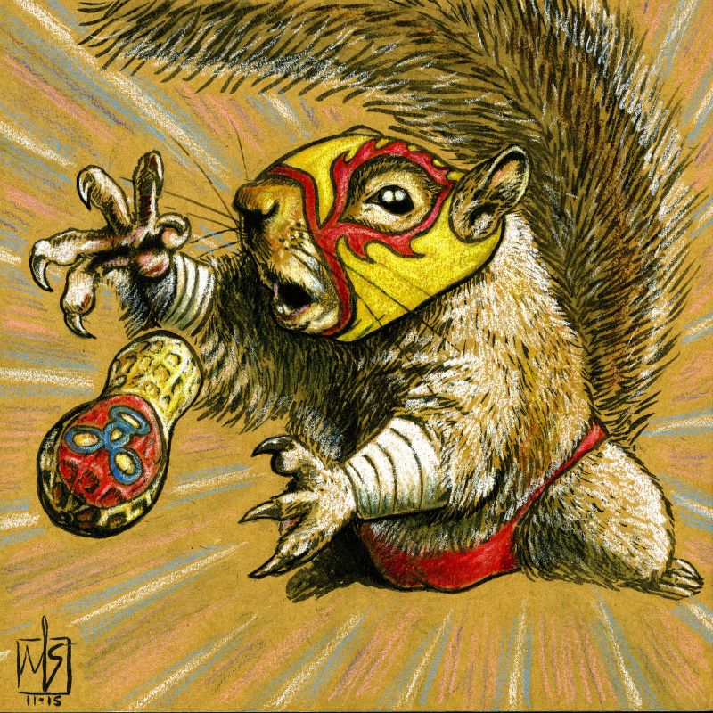 ms-b500_2015_squirnut-v3