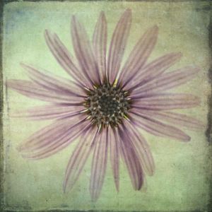 98427GG Lush Vintage Florals VIII