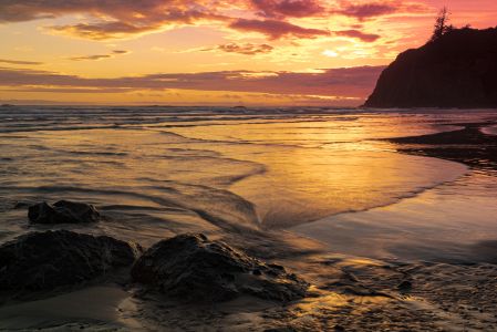 Olympics and Rain Forest-4