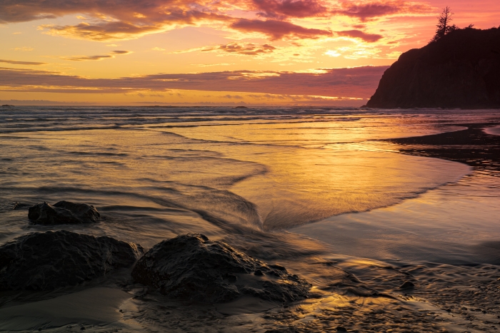 Olympics and Rain Forest-4