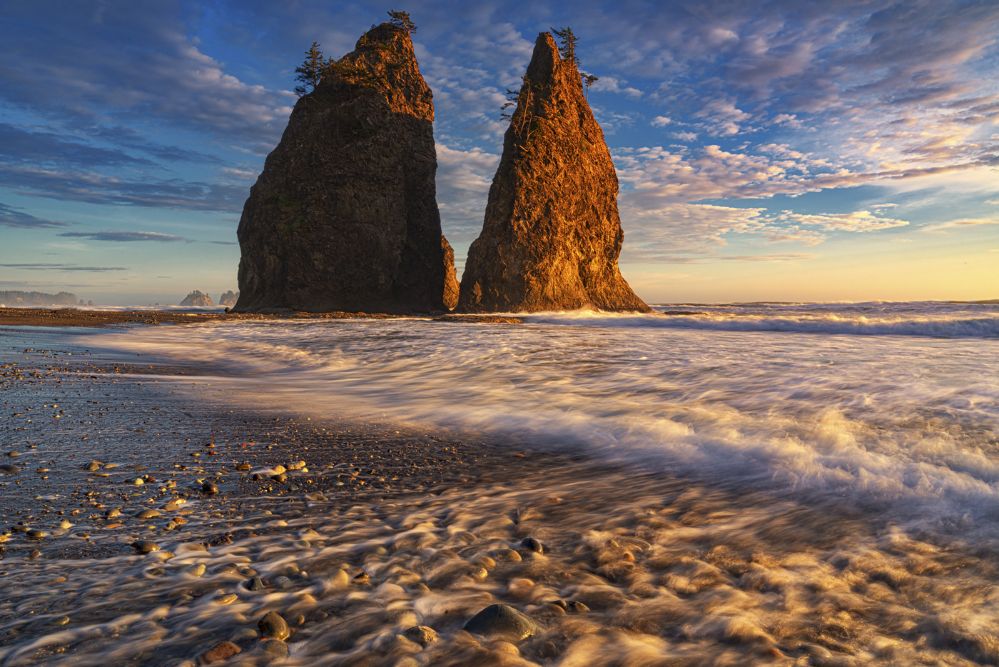 Olympics and Rain Forest-57