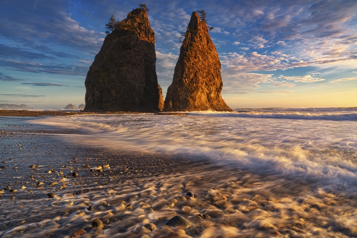 Olympics and Rain Forest-57