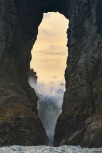 Olympics and Rain Forest-21