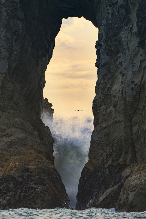 Olympics and Rain Forest-21