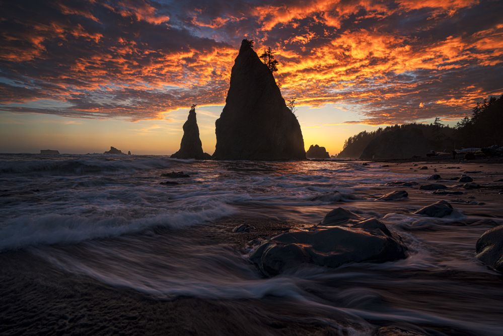 Olympics and Rain Forest-65