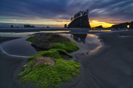 Olympics and Rain Forest-28