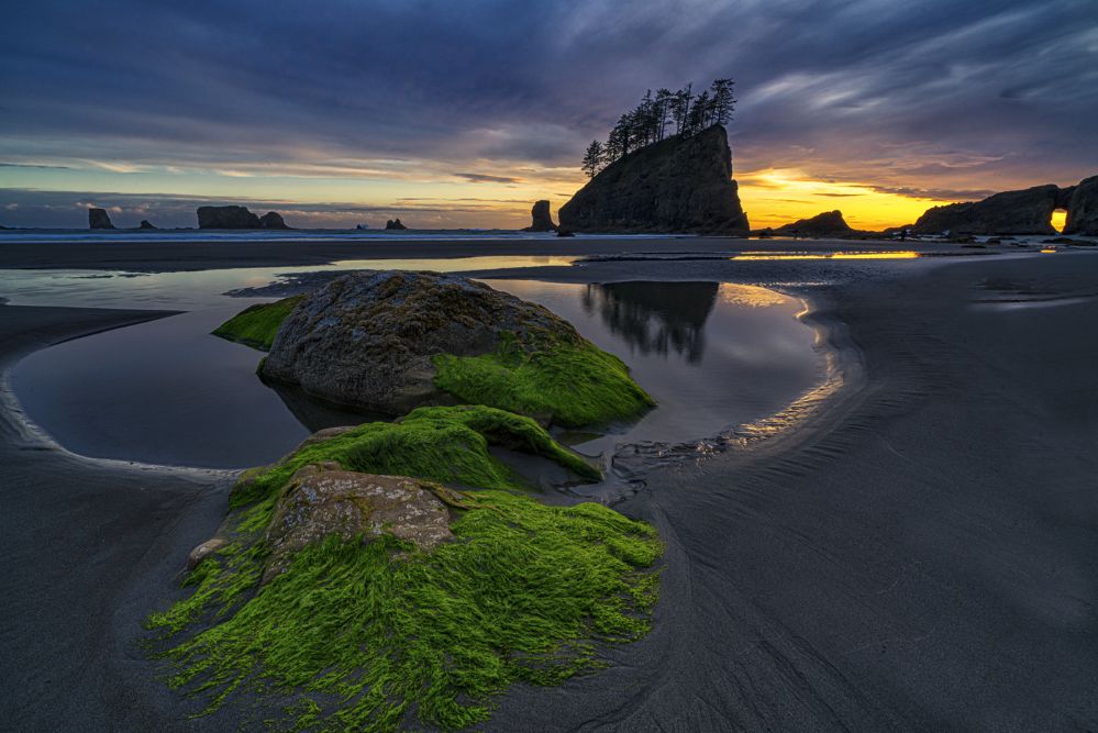 Olympics and Rain Forest-28