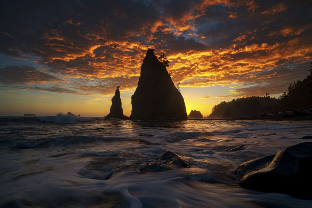 Olympics and Rain Forest-62