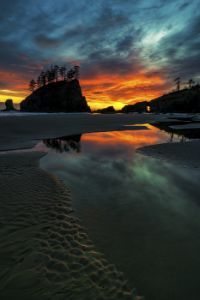 Olympics and Rain Forest-43