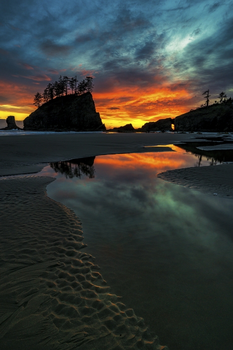 Olympics and Rain Forest-43