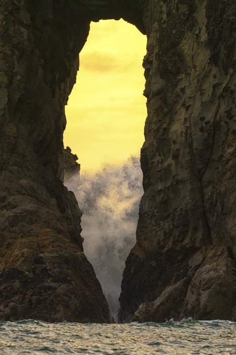 Olympics and Rain Forest-23