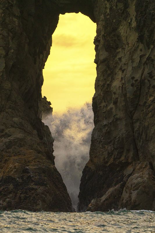 Olympics and Rain Forest-23