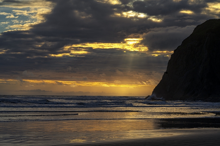 Olympics and Rain Forest-1