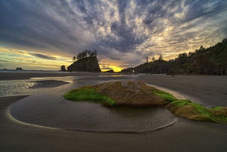 Olympics and Rain Forest-25