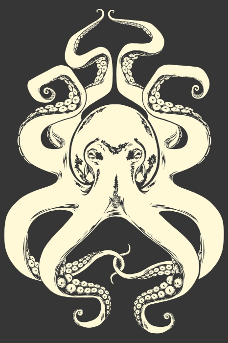 B&W Octopus