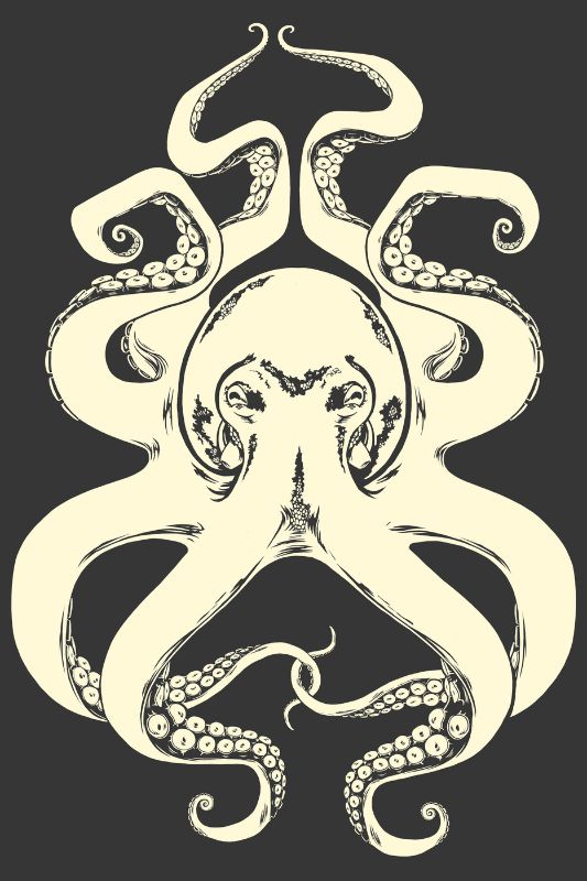 B&W Octopus