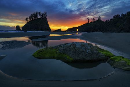 Olympics and Rain Forest-36