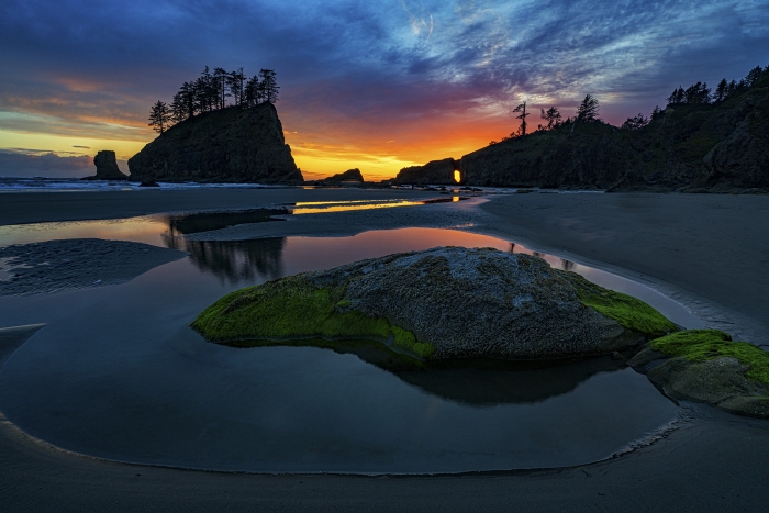 Olympics and Rain Forest-36