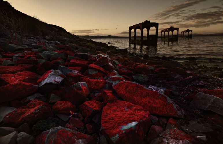 Astoria Red