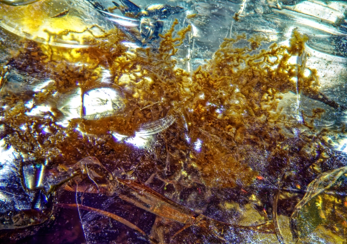 2020-08-15 20-49-43 (C,Smoothing1)_DxO-sharpen-stabilize