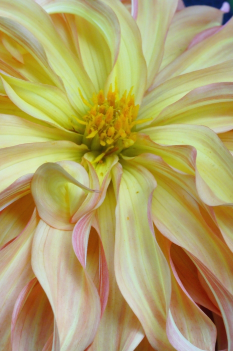 0Christine1 12x18 - Copy