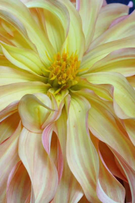 0Christine1 12x18 - Copy