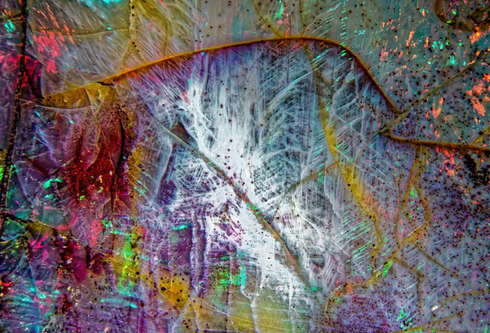 2020-08-15 21-01-32 (C,Smoothing1)_DxO_DxO_DxO-1