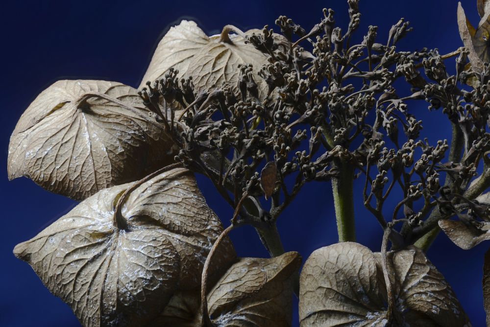 2014-12-01_21-57-53 M=B R=5 S=2 copy