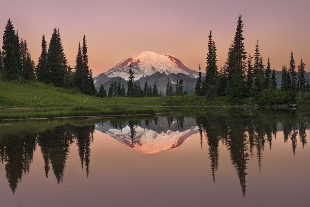 Mt Rainier reflection III