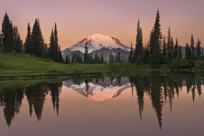 Mt Rainier reflection III