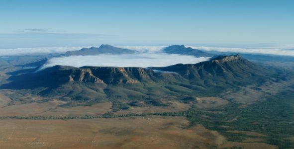 wilpenapound australia