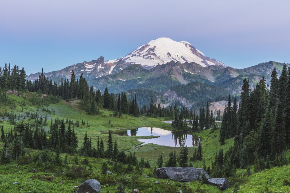 Mt Rainier reflection II