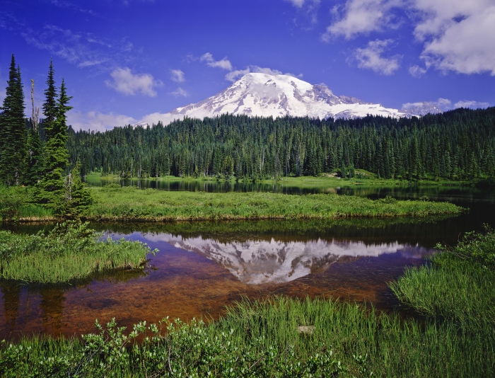 Mt Rainier reflection