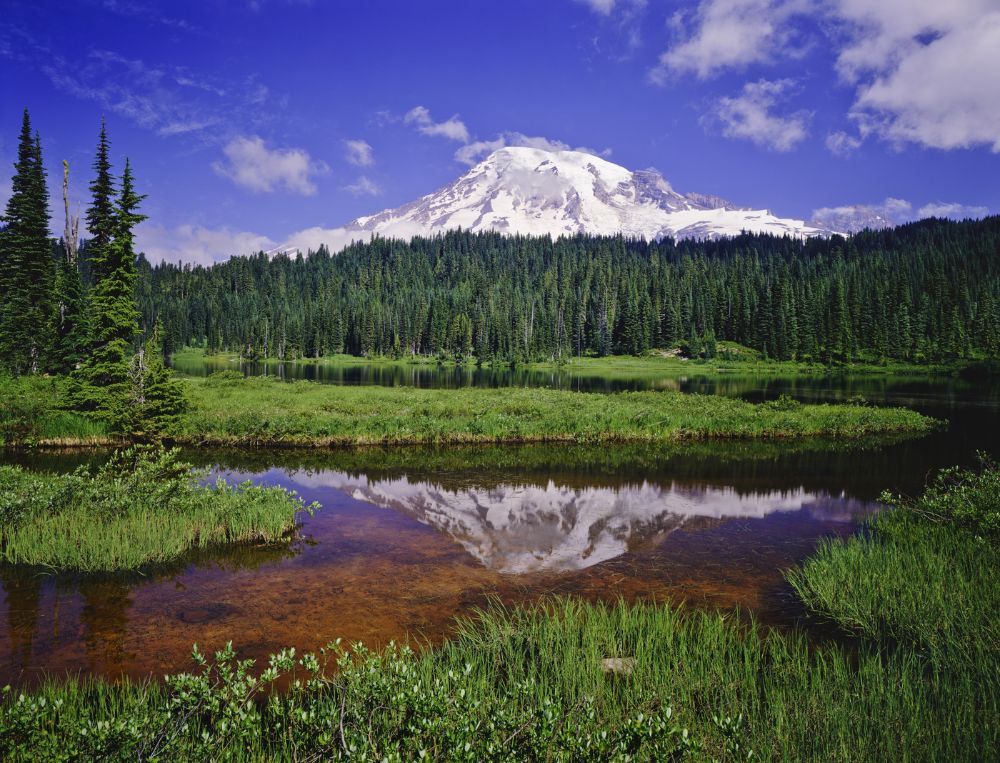 Mt Rainier reflection