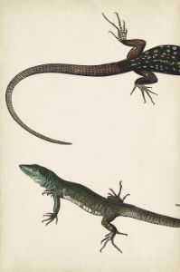 Lizard Diptych I