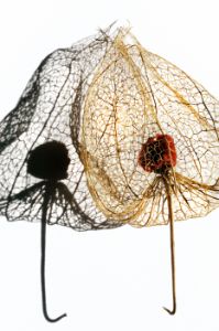 Lantern Seeing Itself in Shadow_13x19.5