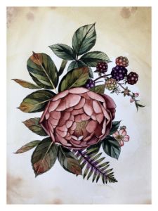 small rose and blackberries