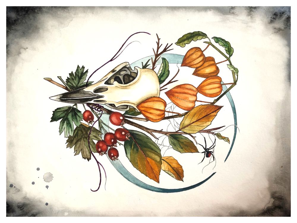 Raven skull with botanicals